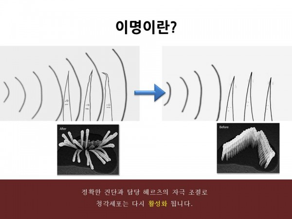 thumb9aed0642b99d2f87de7e14ea900e01a0_1630913112_4639.jpg
